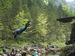 DSCN1729.JPG