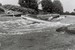 F1120024.JPG