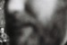 F1130004.JPG