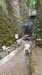 image17.jpeg