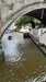 image22.jpeg