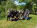 image27.jpeg