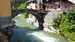 image4.jpeg