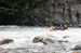 image9.jpeg