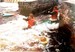 NewDoc 2019-01-11 14.24.48_18.jpg