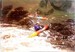 NewDoc 2019-01-11 14.24.48_25.jpg