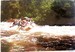 NewDoc 2019-01-11 14.24.48_27.jpg