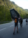 P1010905.JPG