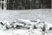 skenovat0010.jpg
