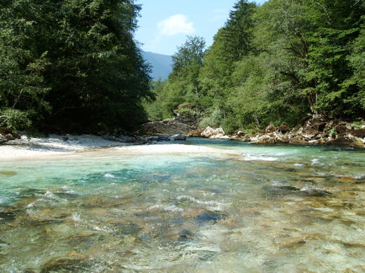 Slovinsko 2006