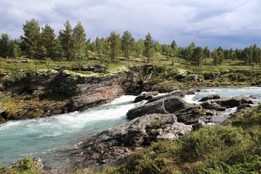 NORSKO 2019