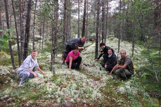 NORSKO 2019
