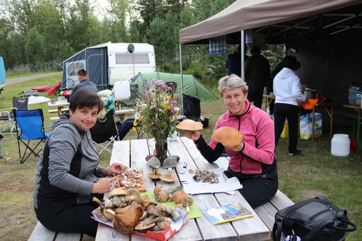 NORSKO 2019