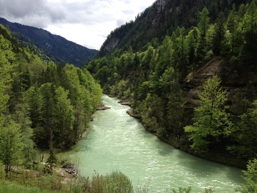 SALZA 2013