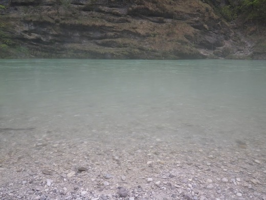 SALZA 2013