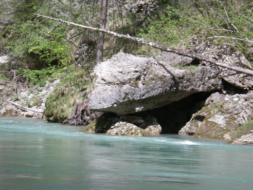 SALZA 2013