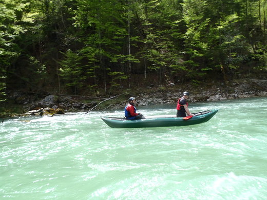 SALZA 2012