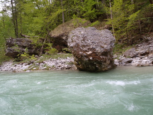 SALZA 2012
