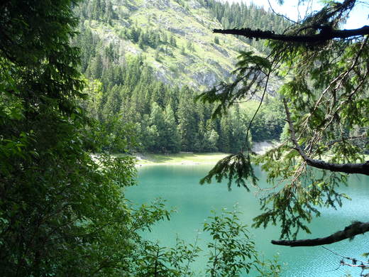 MONTE NEGRO