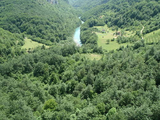 MONTE NEGRO