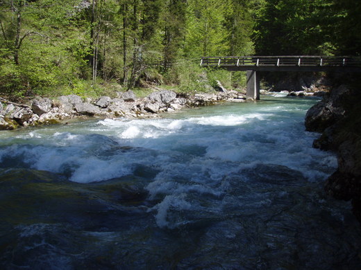 Salza 2008