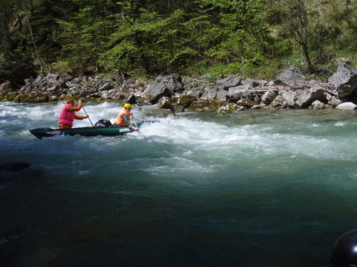 Salza 2008