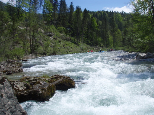 Salza 2008