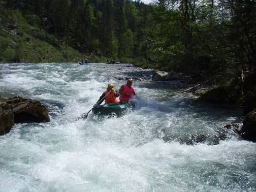 Salza 2008